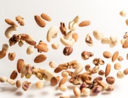 Peanut Cognition Study