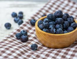 Blueberry Immune Study
