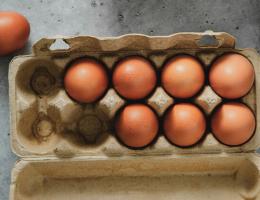 Egg consumption is associated with a lower risk of Alzheimer’s Disease