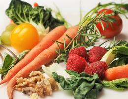 Vegetarian nutrition at loma linda university school of public health
